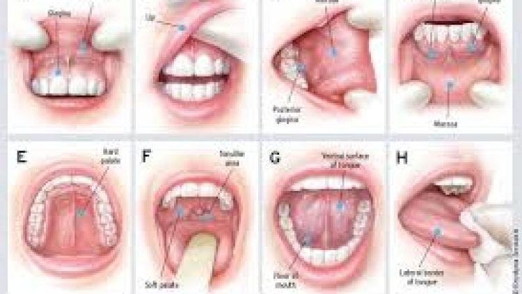 Pentingnya pencegahan dini